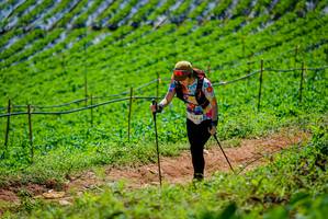 BIB: 224
                            <button type="button" onclick="openModal(19164576)" class="btn btn-primary btn-sm float-right btn-popup" data-toggle="modal" data-target=".modal-high-quality">
                        <i class="fas fa-shopping-cart"></i> Add to Cart
                    </button>
                                            <button type="button" onclick="isThisMe(19164576, true)" class="btn btn-success btn-sm float-right btn-popup btn-isme hidden" data-toggle="tooltip" data-placement="bottom" title="นี่คือรูปของคุณใช่ไหม คลิกที่นี่เพื่อเอาเข้าอัลบั้ม">
                        <i class="fas fa-plus"></i> Add to album
                    </button>
                    <button type="button" onclick="isThisMe(19164576, false)" class="btn btn-warning btn-sm float-right btn-popup btn-isnotme hidden">
                        <i class="fas fa-ban"></i> Remove from album
                    </button>